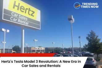 hertz car sales tesla