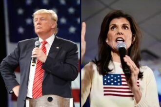 new hampshire primary polls - Trump leads Haley