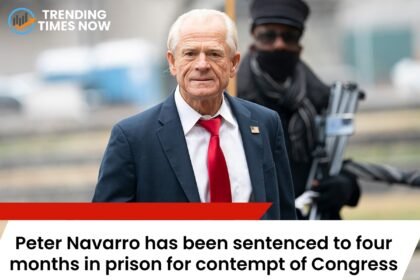 peter navarro sentenced