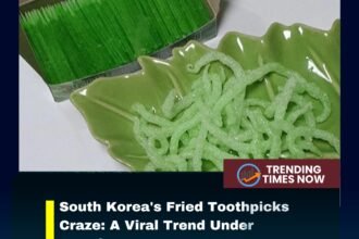 South Korea's Fried Toothpicks